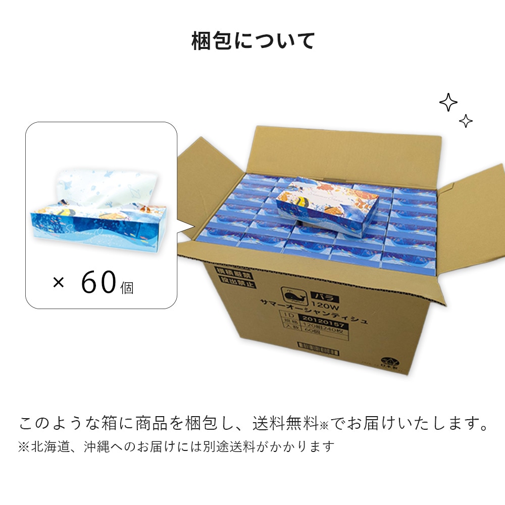 【会員様限定価格 4月21日09:59まで】サマーオーシャン 夏 プリント ティッシュペーパー 120組  × 60箱 20120157 [ギフト]