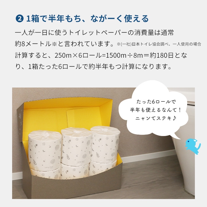 トイレットペーパー シングル 250m 半年トイレットロールボックス 6ロール入 10001147 5倍巻き 長持ち まとめ買い 日本製 [KS]