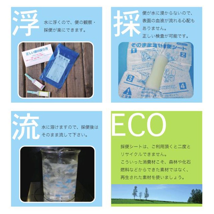 イトマンそのまま流せる採便シート100枚　66005501 送料無料 NP後払い・代金引換不可