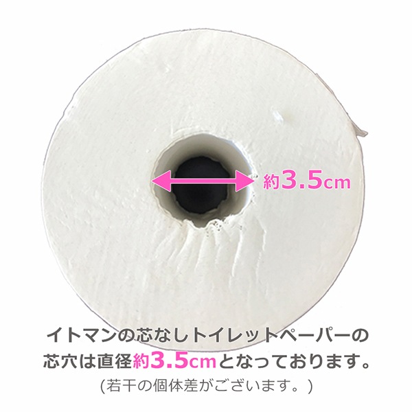 業務用 トイレットペーパー シングル 250m 24ロール 緊急備蓄 芯なし スリム幅(107mm) 1ロール ミシン目なし 無香料 10250003 5倍巻き 長持ち まとめ買い  日本製