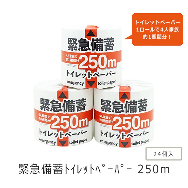 業務用 トイレットペーパー シングル 250m 24ロール 緊急備蓄 芯なし スリム幅(107mm) 1ロール ミシン目なし 無香料 10250003 5倍巻き 長持ち まとめ買い  日本製