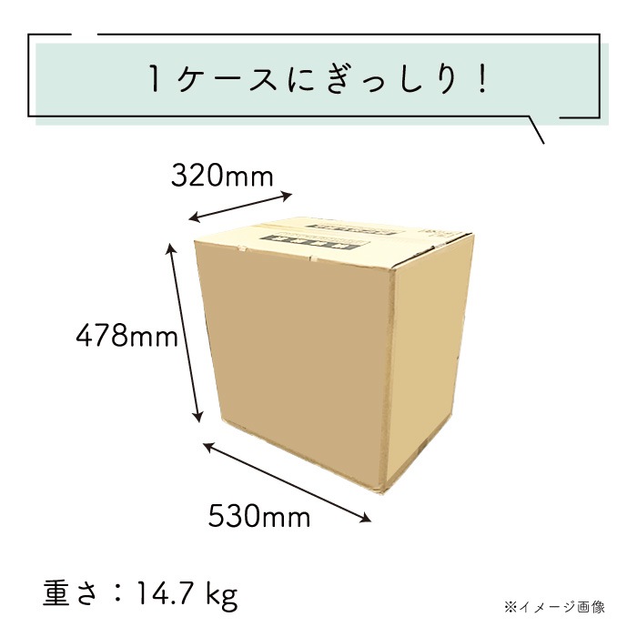 【定期購入用】業務用 トイレットペーパー シングル 100m 60ロール イトマン 有芯 普通幅(114mm) ミシン目あり 無香料 10100018 長持ち まとめ買い 日本製