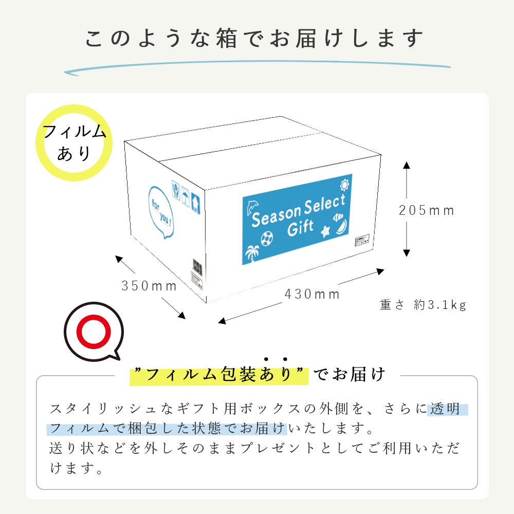 2025年 シーズン セレクトセット夏 10001157 [ギフト][熨斗対応]