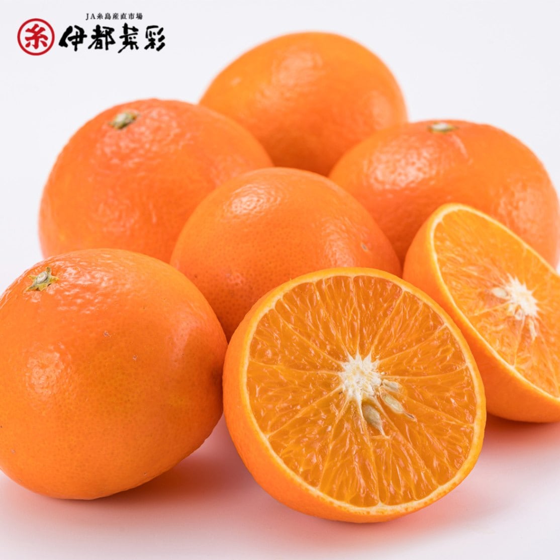 糸島みかん　天草　3kg　　