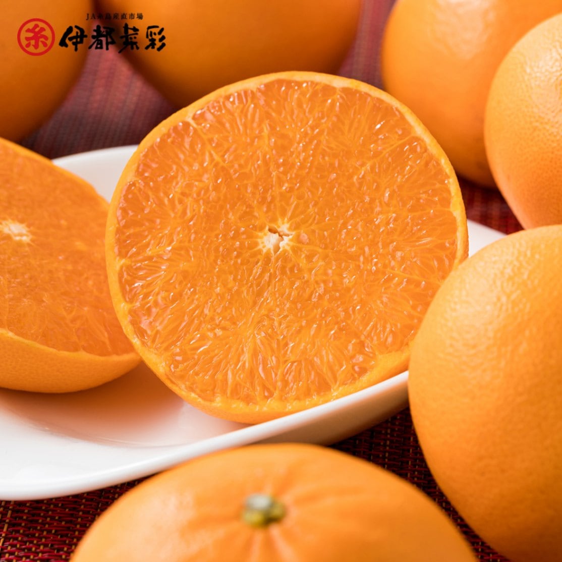 糸島みかん せとか 3kg | くだもの・野菜 | JA糸島伊都菜彩ギフトショップ