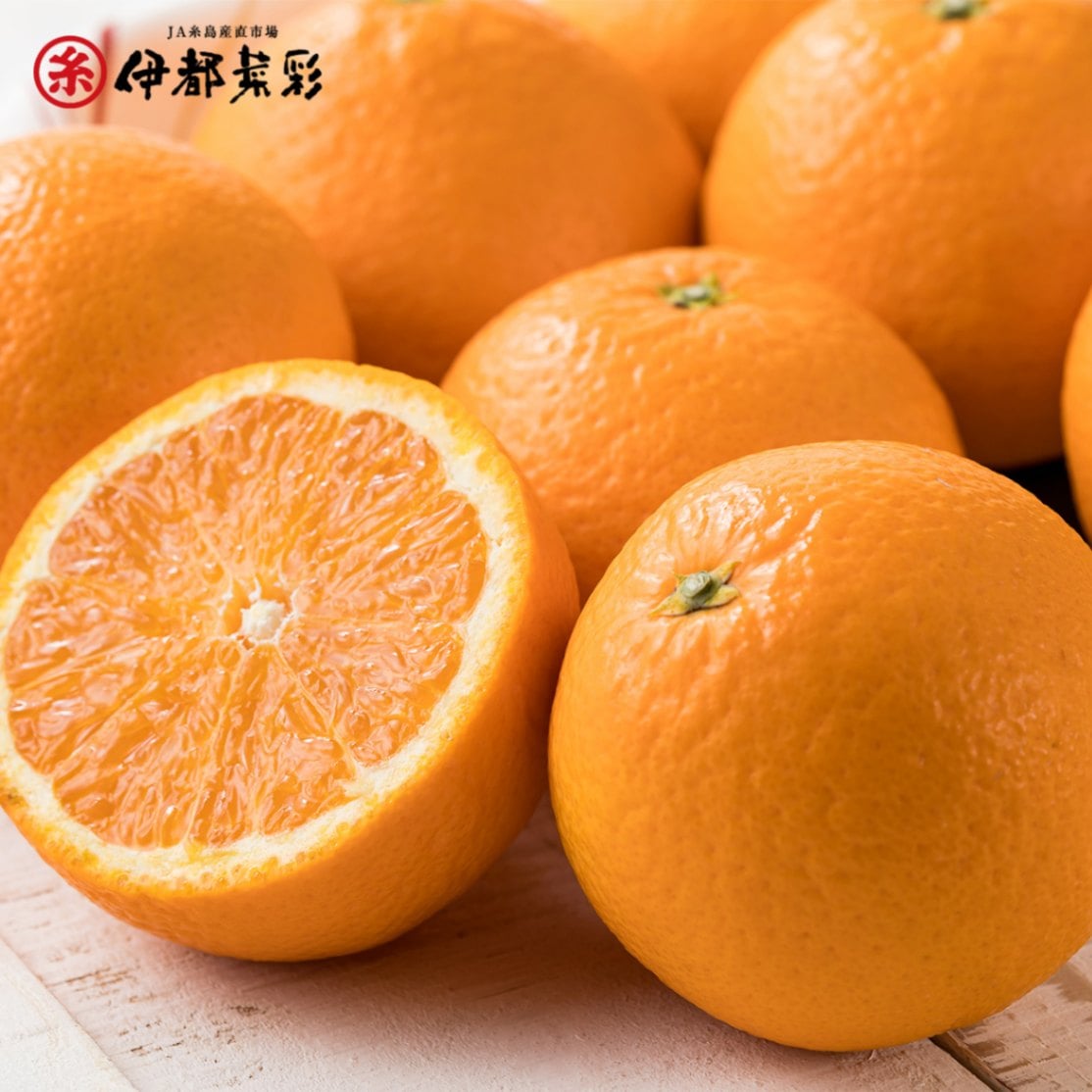 清見オレンジ　3kg　　