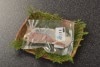 銀鮭の粕漬（1切）