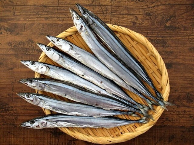 【針子】さんま丸干（8本）