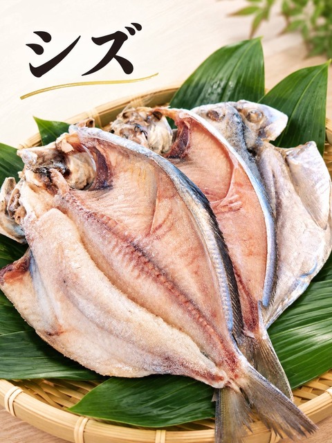 シズ（3枚）