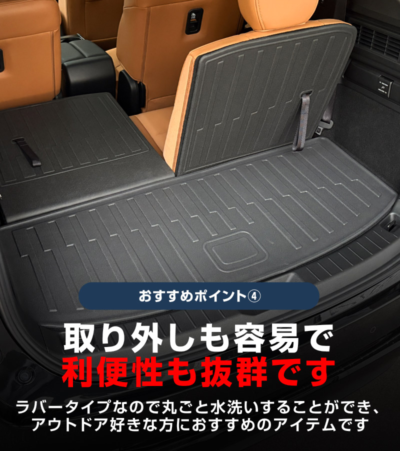 8_000000004504.jpg?1754009689