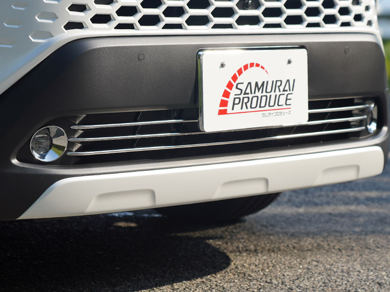 39_000000004607.jpg?1764050923