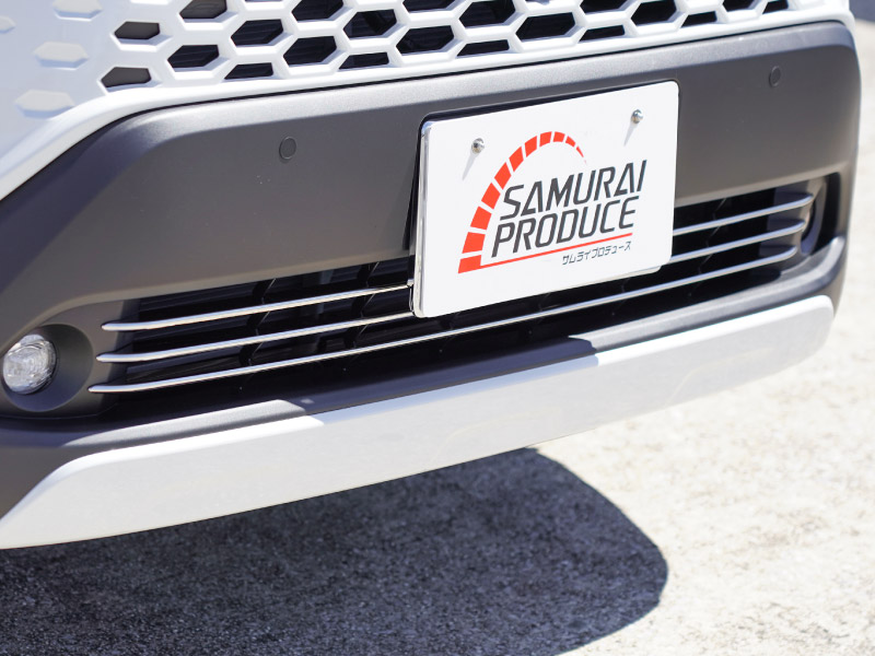 37_000000004518.jpg?1764056111