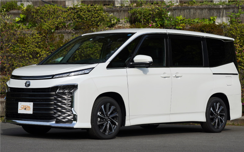 ��2/15��10%off�ۿ������������� �Υ� 90�� �����ɥ롼�ե����˥å��� 8P ���̻ž夲 �åȥ西 TOYOTA VOXY NOAH 90 95 ���� ���� �������� �ѡ��� ������ �� �ɥ쥹���å� ���������꡼ �ҳ��� ���ץ���� ��������ͽ������/2��20��������ͽ���