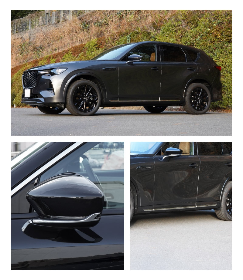 4_000000003941.jpg?1768462399