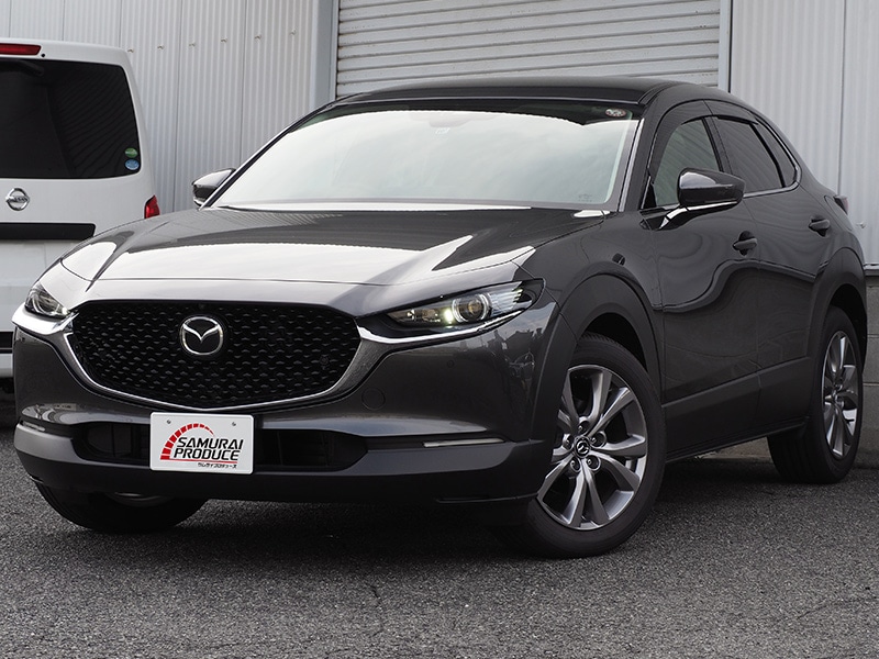 新型CX-30 サイドミラーガーニッシュ 4P 鏡面仕上げ 2026年MC後対応