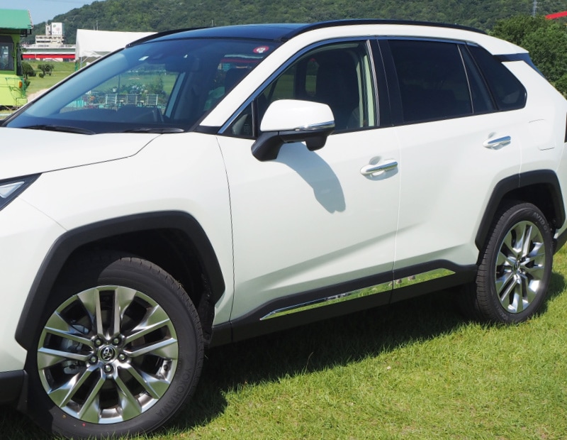 ラブ4 RAV4 50 リアガーニッシュ スムージング 218カラー