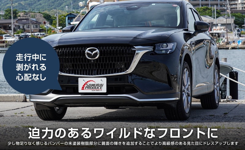 17_000000003661.jpg?1755765710