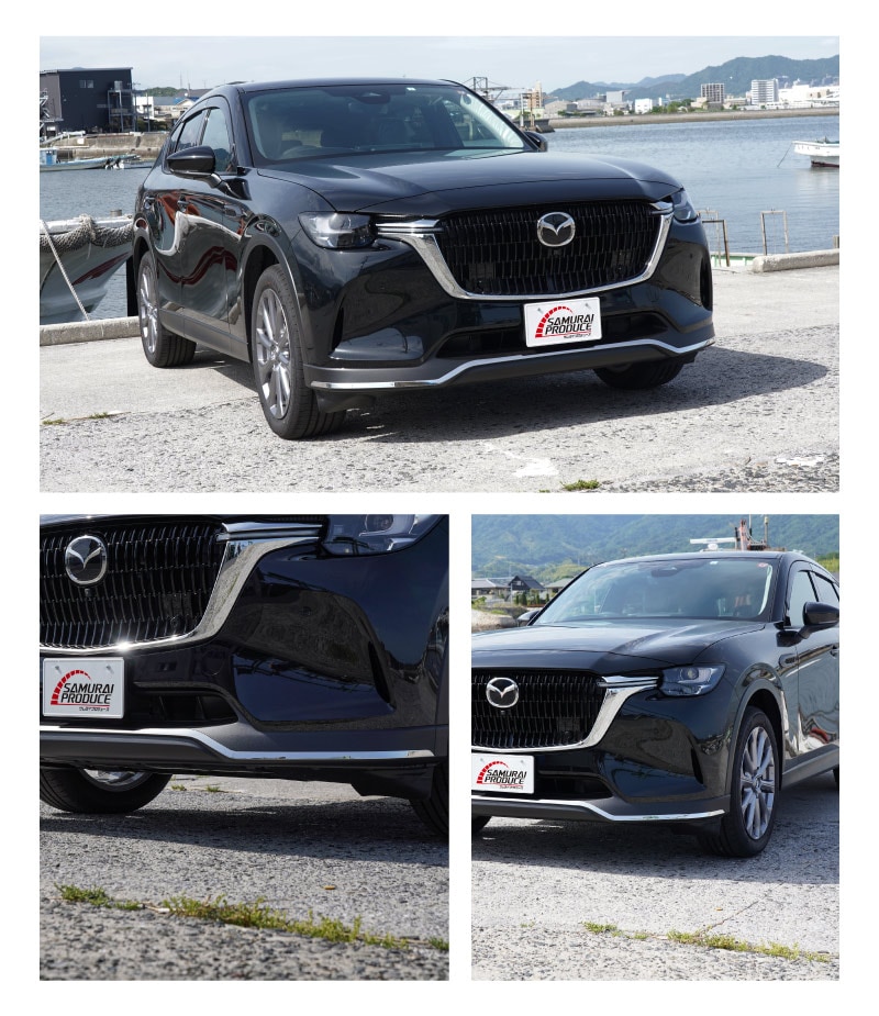 8_000000003661.jpg?1755765710