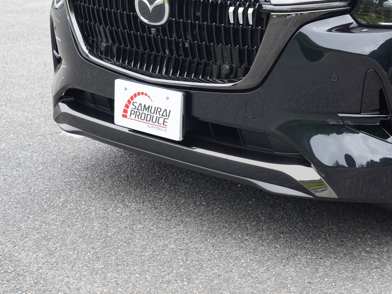 22_000000004180.jpg?1751963869