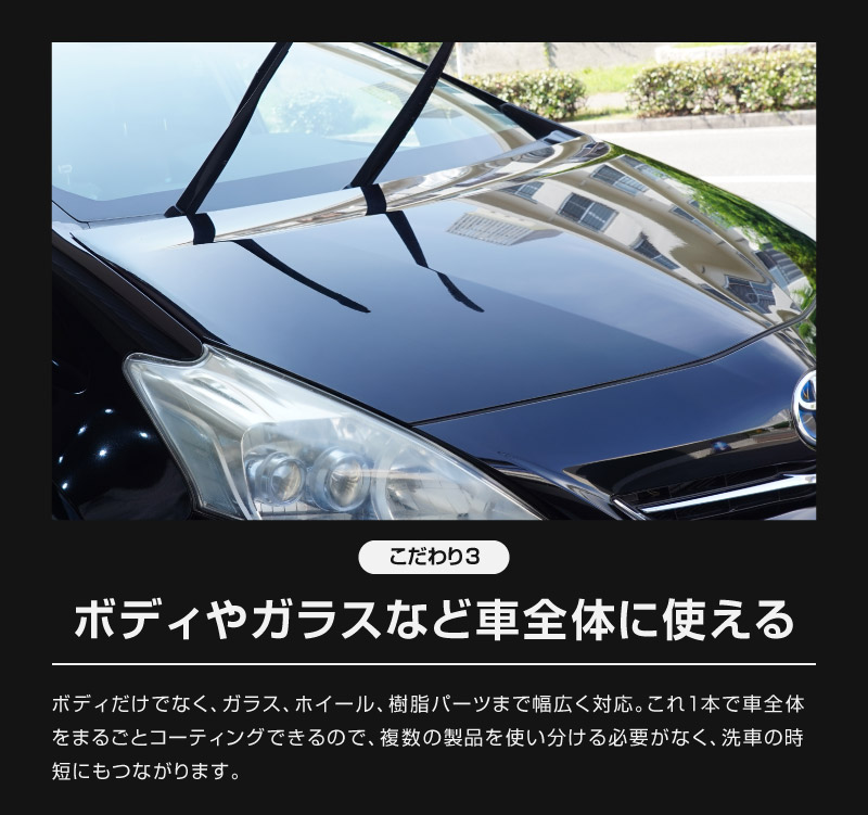 饤å QUICK COAT 300ml Ķ女ƥ󥰥ץ졼 Ǩ줿ޤޤΥܥǥ˿᤭ Ķûμ女ƥ ֿб  Ф   ƥʥ ɥ ƥ󥰺 ɥ 