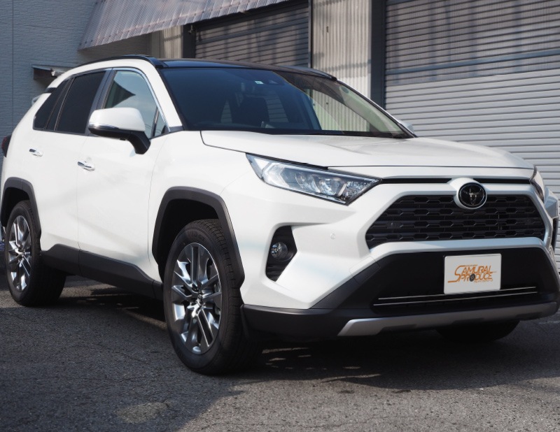 RAV4 50系 RAV4 PHV ロアグリルガーニッシュ 鏡面仕上げ 2P｜トヨタ TOYOTA ラブ４ 50系 MXAA54 AXAH54 G 