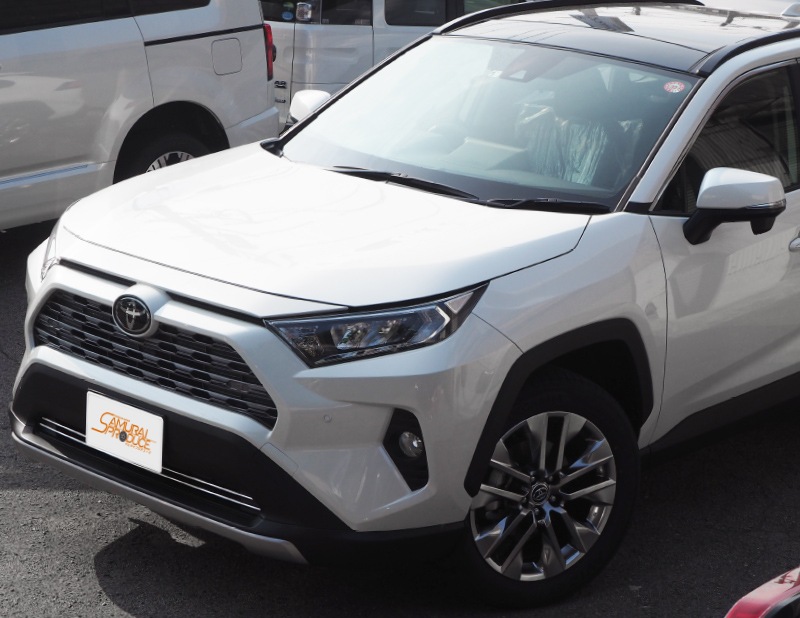 RAV4 50系 RAV4 PHV ロアグリルガーニッシュ 鏡面仕上げ 2P｜トヨタ TOYOTA ラブ４ 50系 MXAA54 AXAH54 G 
