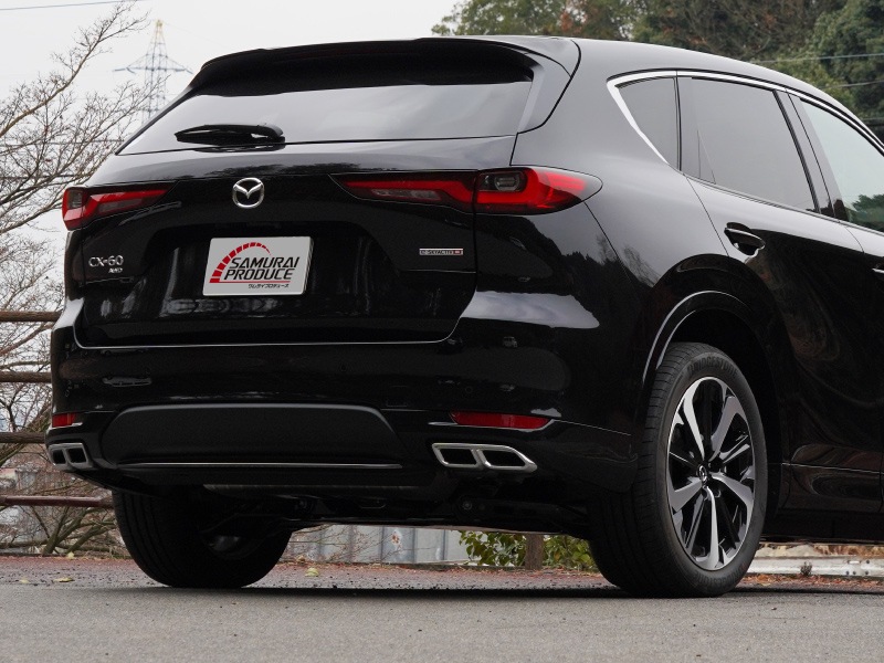 42_000000003485.jpg?1756791242