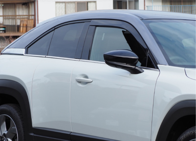 13_000000002891.jpg?1730859951