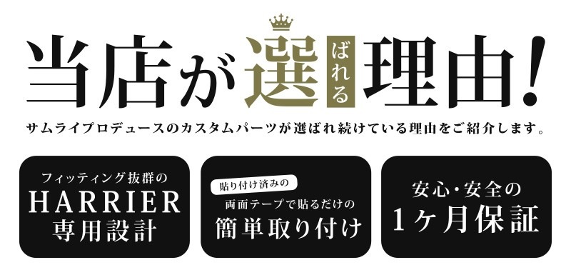 ϥꥢ 80 եȥե ˥å å 2Påȥ西 TOYOTA HARRIER 80   ѡ ɥ쥹å ꡼ ҳ ץ 