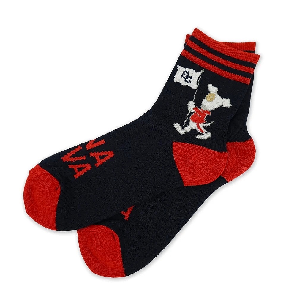 SINA COVA|シナコバ　ソックス 