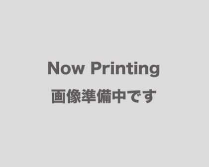 レクサスRX330　JTJHA31U940　16041-20310