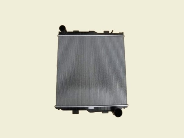 清水 寒菊 Silver Lining 2025 純米大吟醸無濾過生原酒 720ML さかや