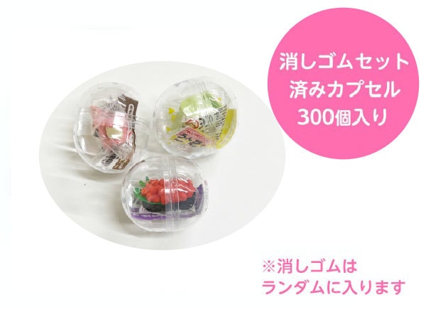 すべての商品 | おもしろ消しゴムのイワコー｜工場直営ショップ