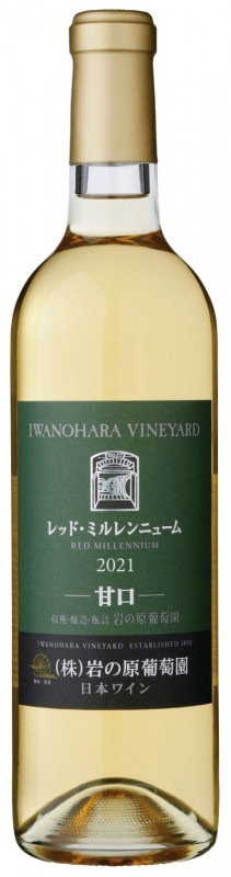 ��åɡ��ߥ���˥塼�ࡡ2021���Ÿ�