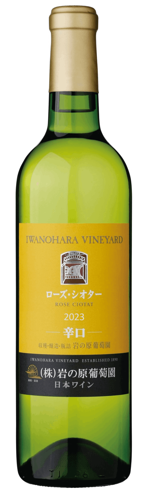 ローズ・シオター 2023 | 岩の原ワイン オンラインストア