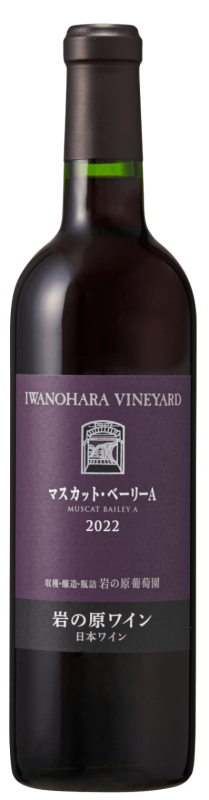 �ޥ����åȡ��١��꡼A��2022