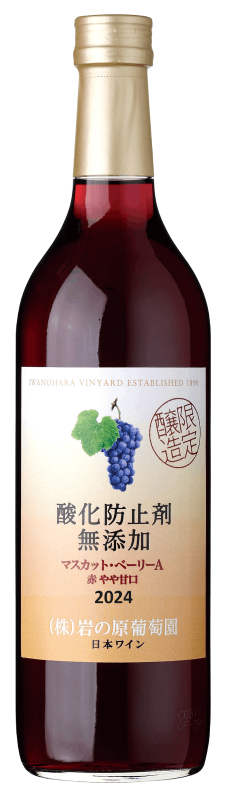 �����ɻߺ�̵ź�á��ޥ����åȡ��١��꡼A��2024���ڤ��Ÿ���