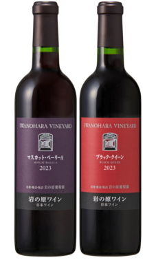 �ޥ����åȡ��١��꡼A2023���֥�å�����������2023 2�ܥ��å�