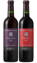 �ޥ����åȡ��١��꡼A2023���֥�å�����������2023 2�ܥ��å�