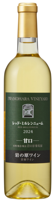 ��åɡ��ߥ���˥塼�ࡡ2024���Ÿ�