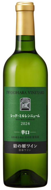 ��åɡ��ߥ���˥塼�ࡡ2024���ɸ�