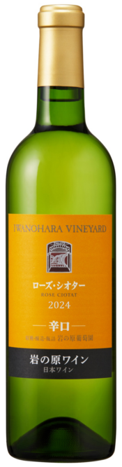 ������������������2024