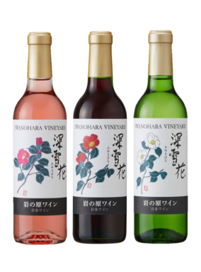 ����� �֡��򡦥��� 360ml 3�ܥ��å�