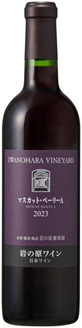 �ޥ����åȡ��١��꡼A��2023