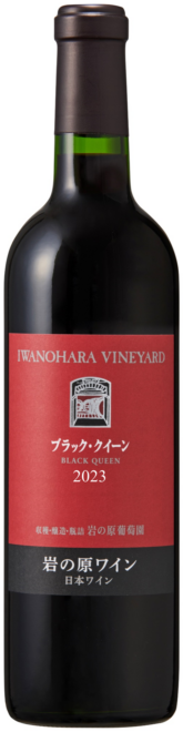 �֥�å�����������2023