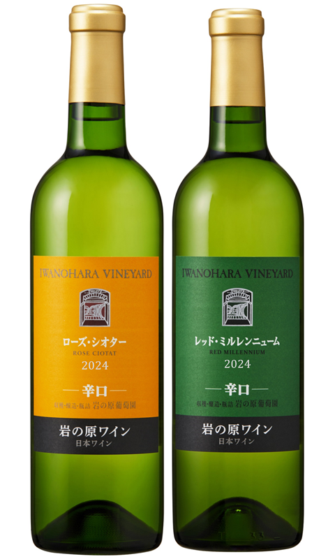 ��������������������åɡ��ߥ���˥塼��ɸ� 2�ܥ��å�