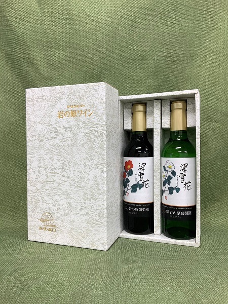 ����Ȣ��385�ߡ�