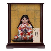 【市松人形】6号 木目込み市松 彩華(座り) ガラスケース入り〈芳俊作〉[233-067]