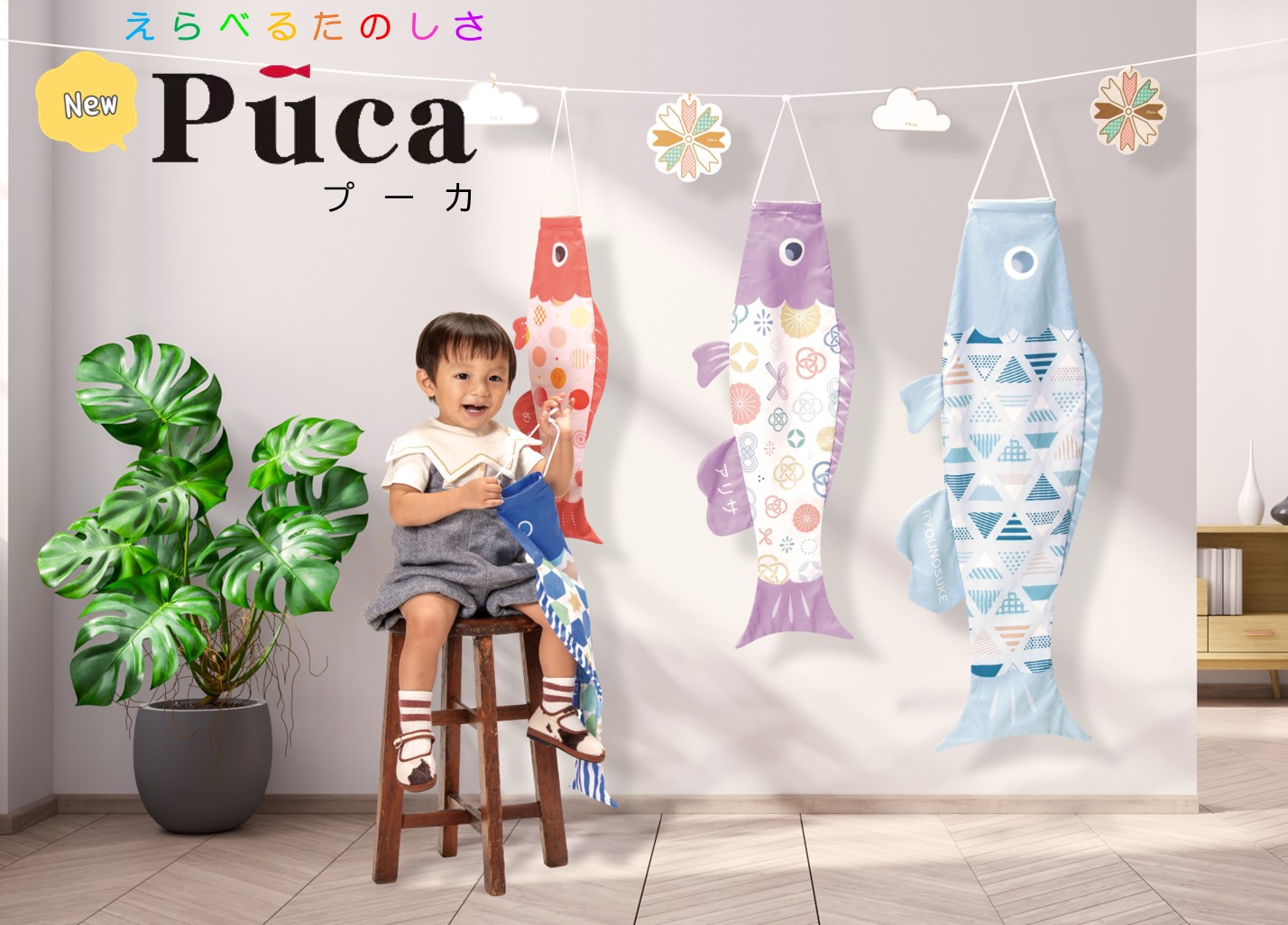 【鯉のぼり】室内鯉のぼり Puca(プーカ) 新モデル※Lサイズ〈徳永こいのぼり〉