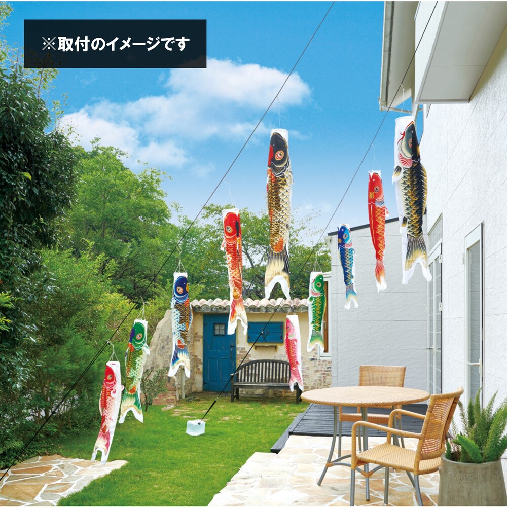 【鯉のぼり】天華 おてがるセット〈錦鯉〉